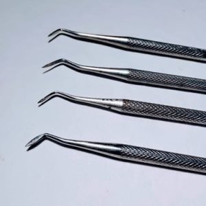 Esculpidor Hollemback Ice