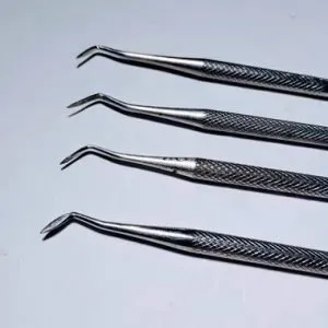 Esculpidor Hollemback Ice