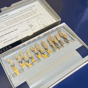 Escala Vita Toothguide 3D - MASTER
