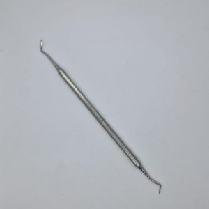 Esculpidor Hollemback 4