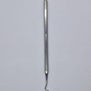 Esculpidor Discoide-Cleóide