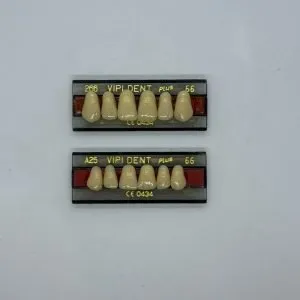 Kit com 2 Placas de Dente – Reposição para Prótese Dentária (VIP DENT PLUS)