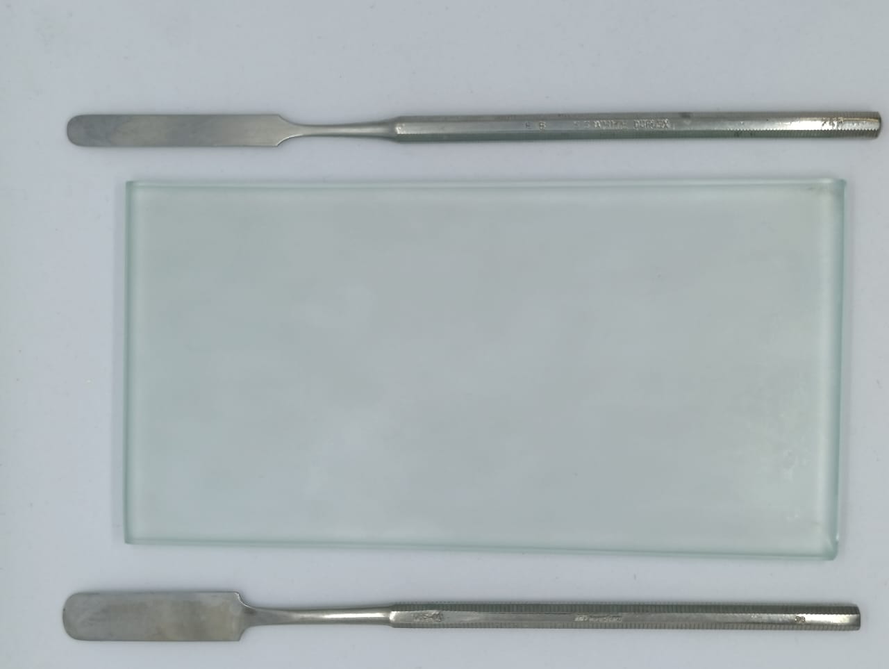 Imagem do WhatsApp de 2025-08-01 à(s) 10.38.27_ce76c869