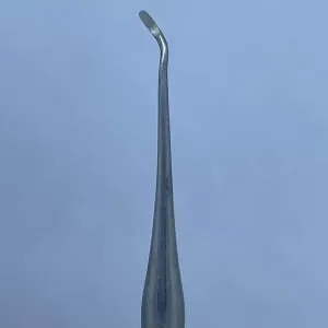 Colher de dentina