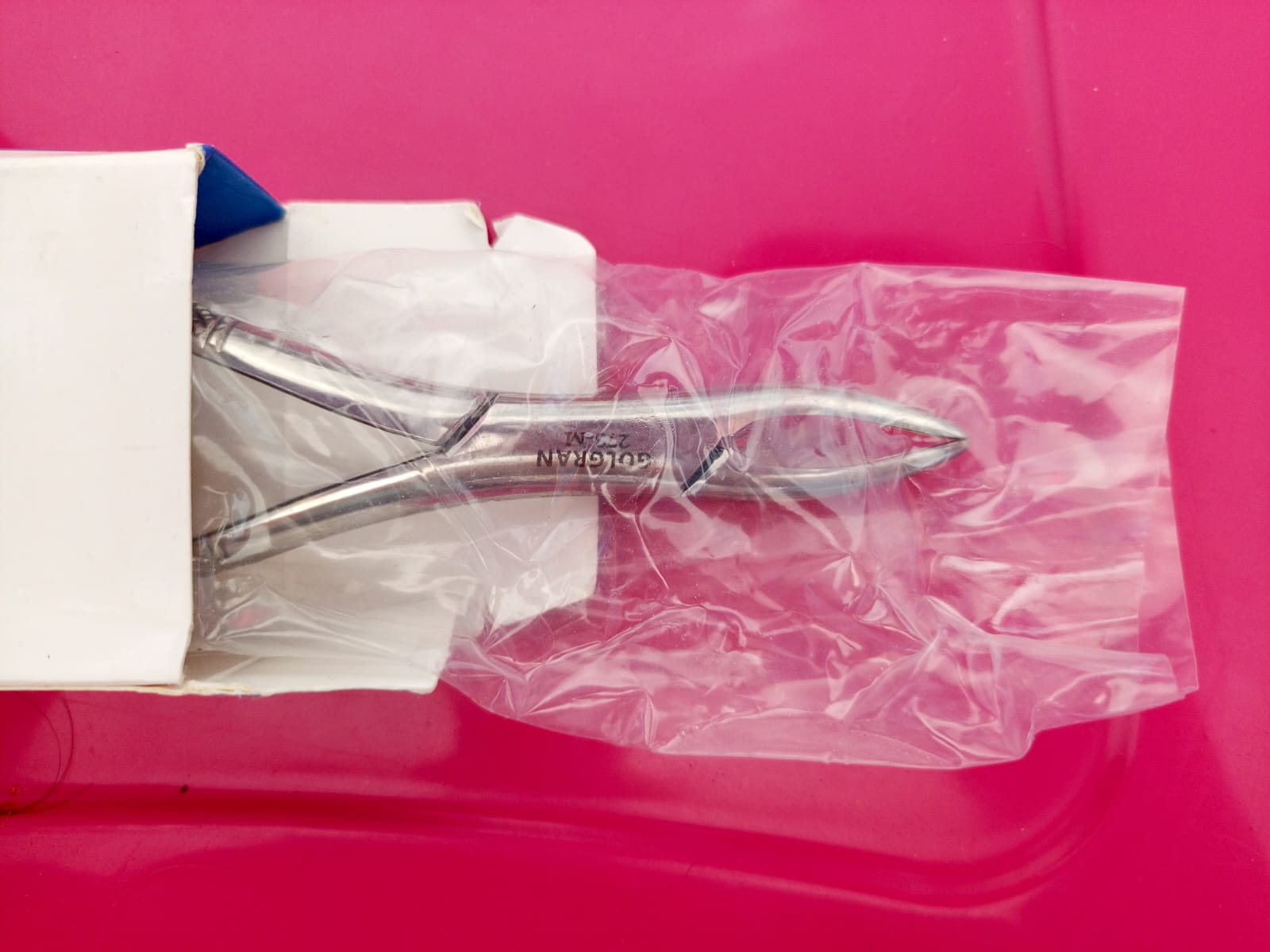 WhatsApp Image 2026-01-12 at 12.20.33