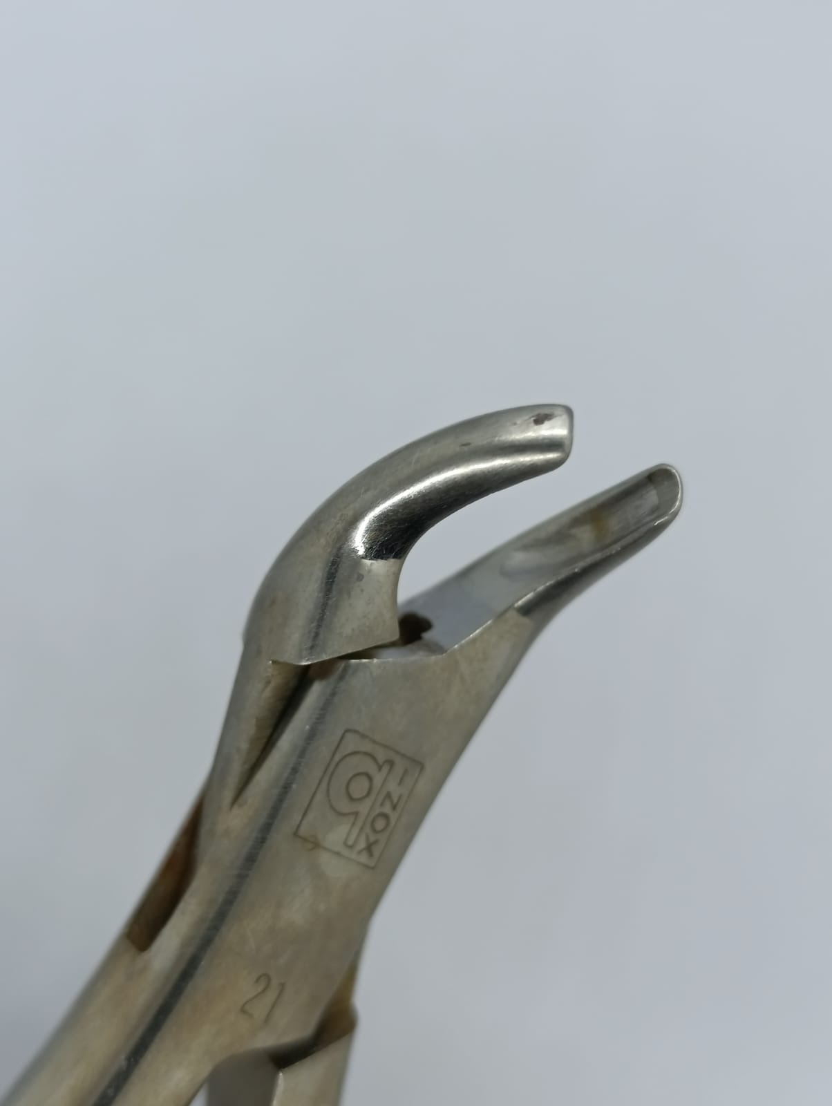 WhatsApp Image 2026-01-27 at 11.14.34 AM (1)