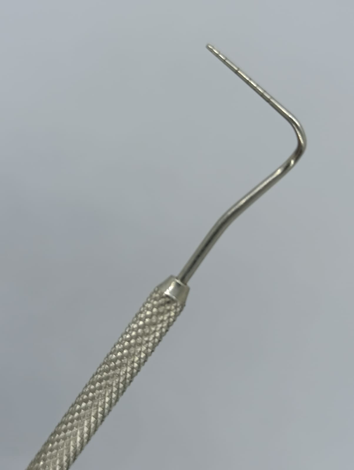 WhatsApp Image 2026-01-27 at 11.14.34 AM (1)