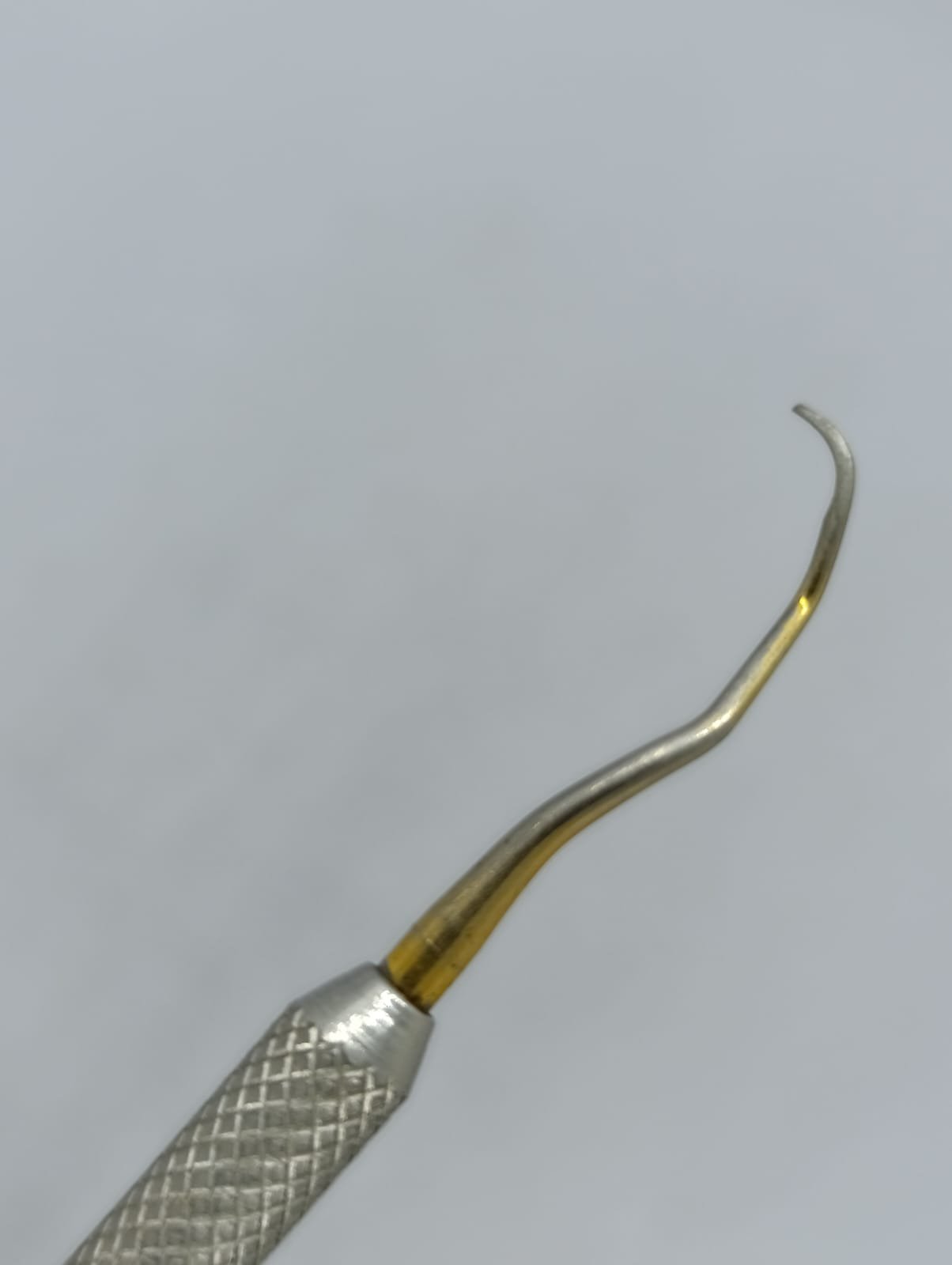 WhatsApp Image 2026-01-27 at 11.14.34 AM (1)