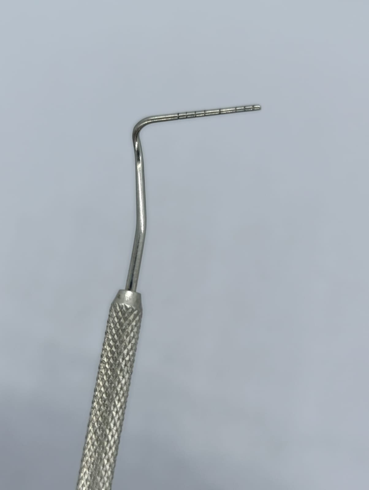 WhatsApp Image 2026-01-27 at 11.14.34 AM (2)