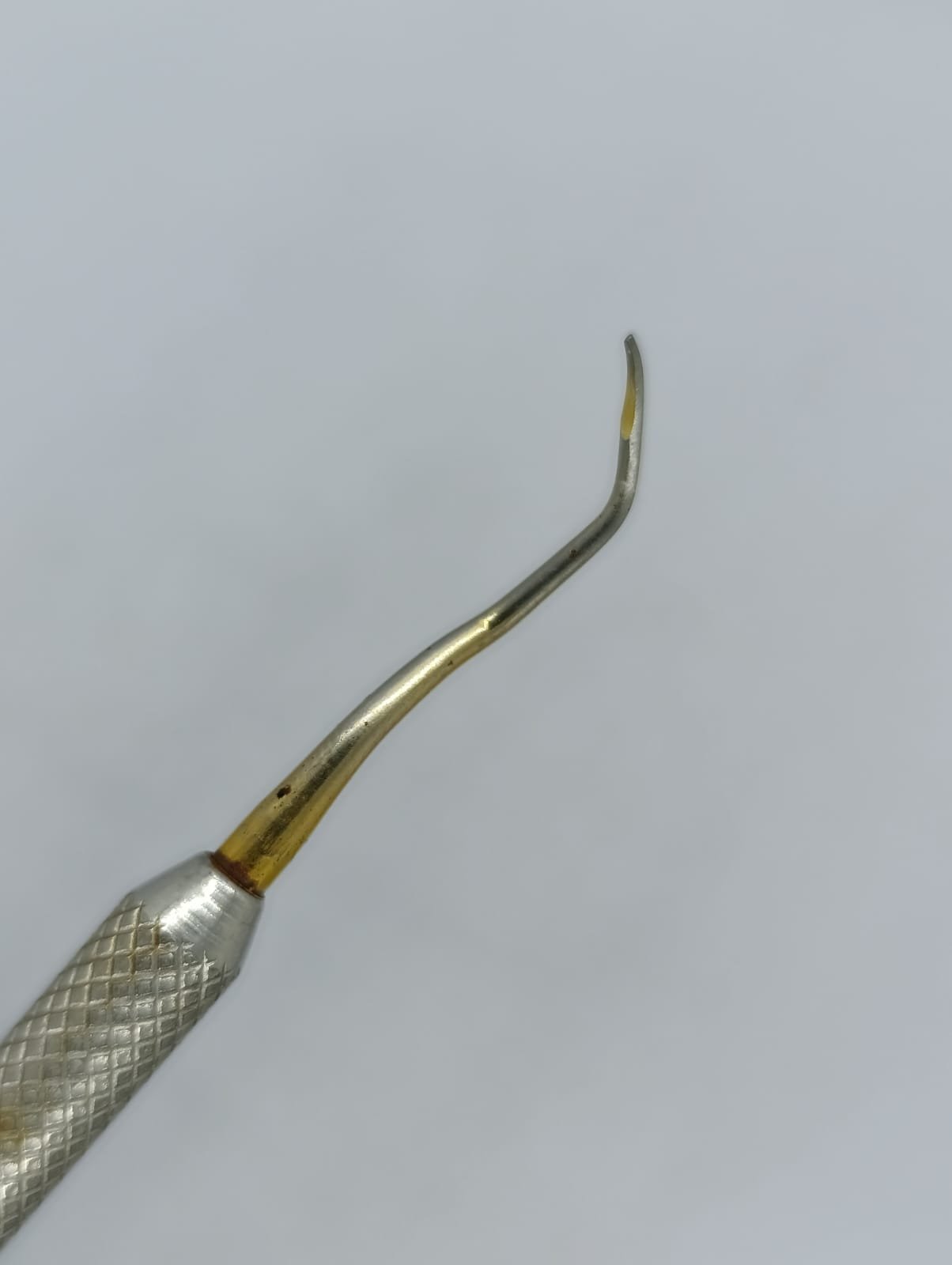 WhatsApp Image 2026-01-27 at 11.14.34 AM (2)