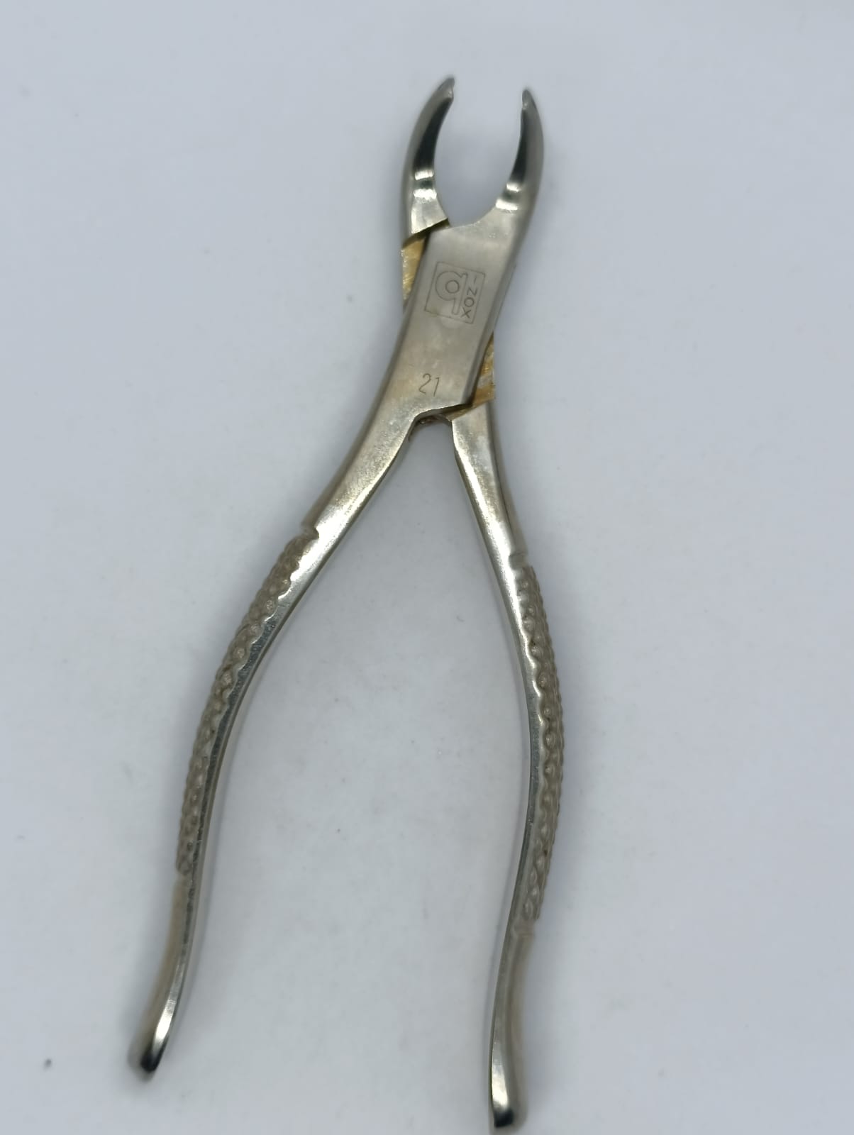 WhatsApp Image 2026-01-27 at 11.14.34 AM