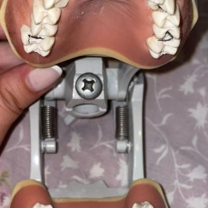 Manequim odontológico MOM (dentistica)