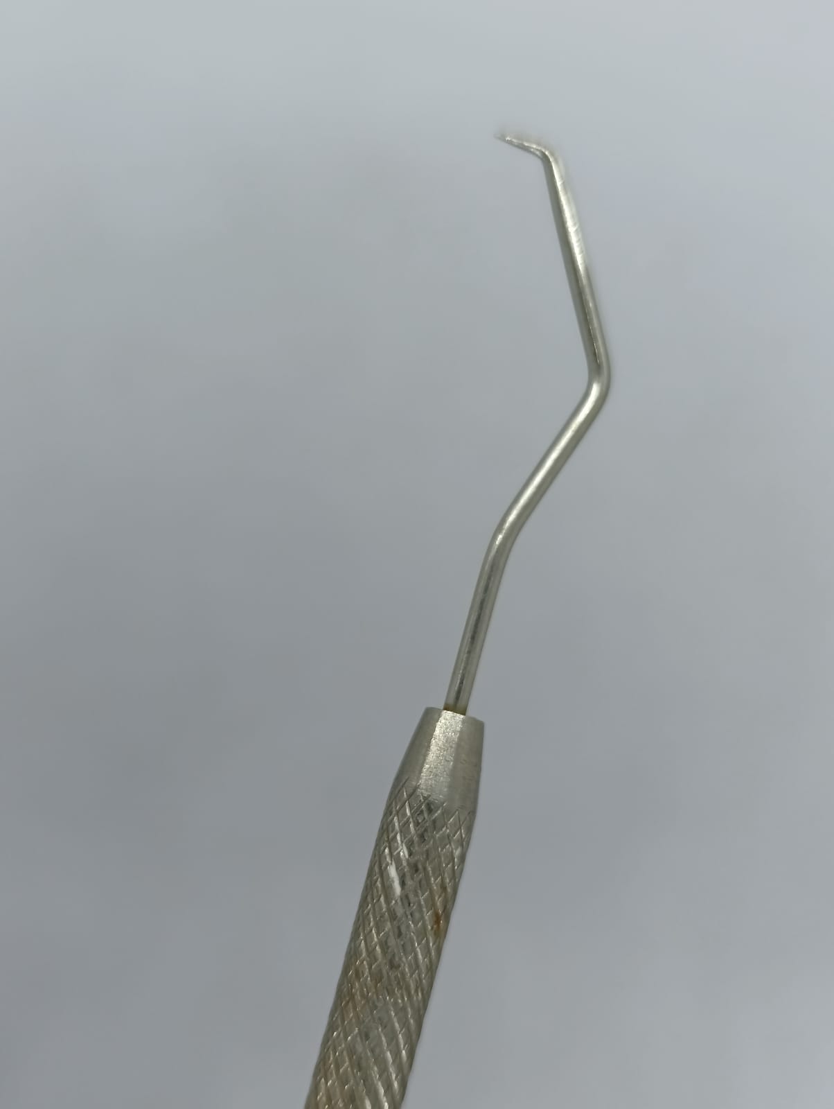 WhatsApp Image 2026-02-03 at 10.17.03 AM (1)