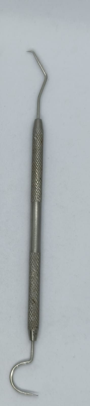 WhatsApp Image 2026-02-03 at 10.17.03 AM