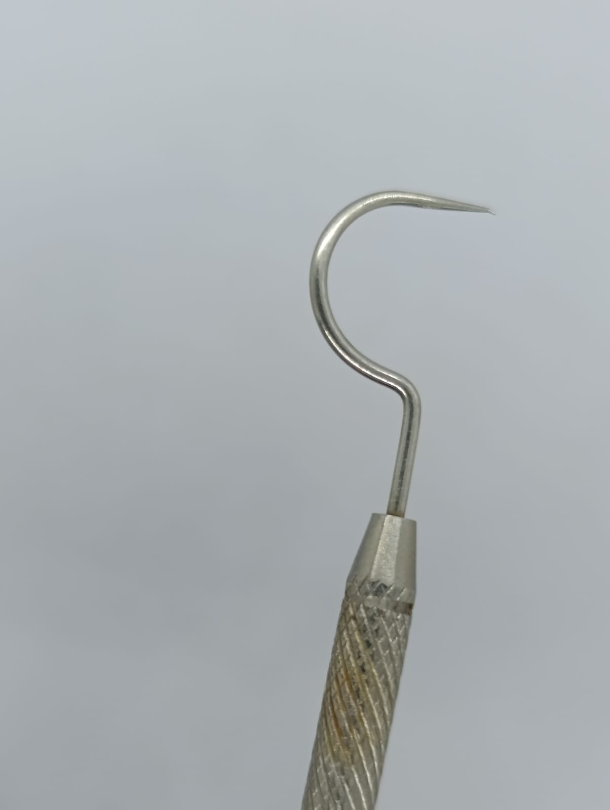 WhatsApp Image 2026-02-03 at 10.17.04 AM