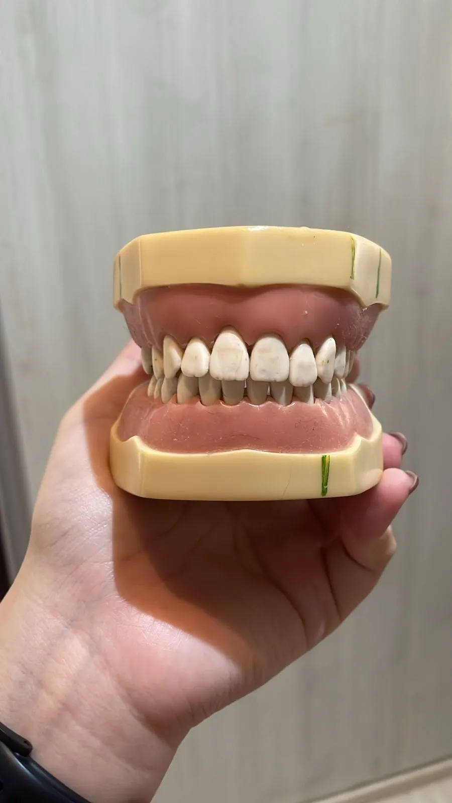 WhatsApp Image 2026-02-20 at 11.49.22