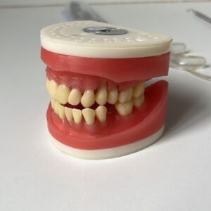 Manequim de Perio/Cirurgia Odontológico (Treinamento e Simulação)