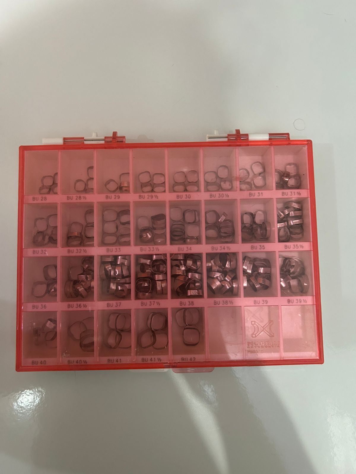 WhatsApp Image 2026-04-02 at 11.45.30