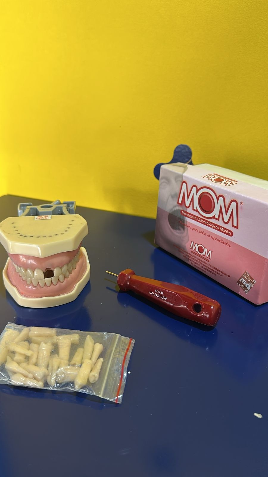 Manequim MOM Materiais Dentários UFPR Modelo 8099